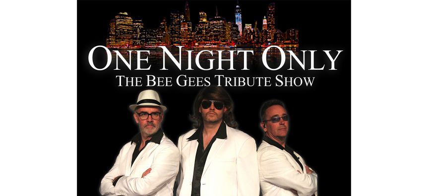 Bee Gee Bee Gee
