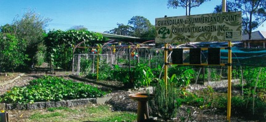 Gwandalan/Summerland Point Community Garden