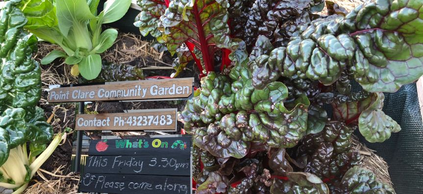 Point Clare Community Garden