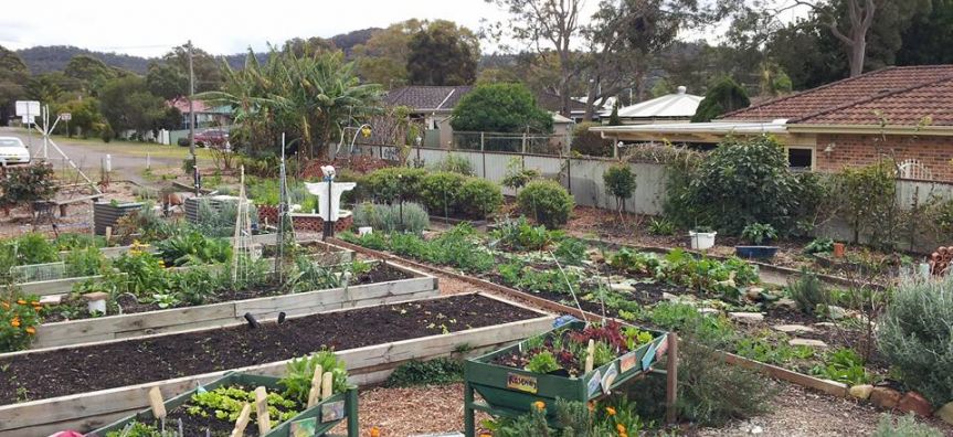 Woy Woy Peninsula Community Garden