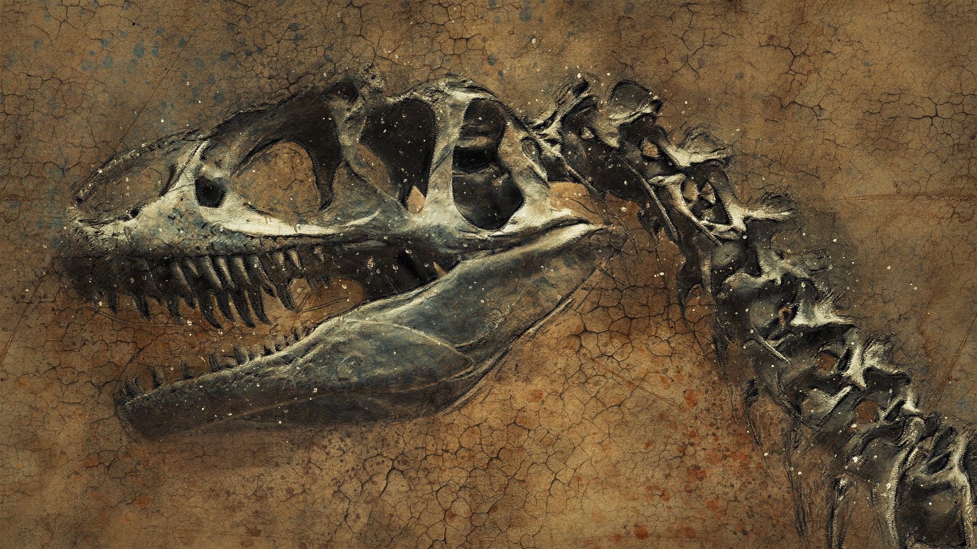 Dinosaur fossils