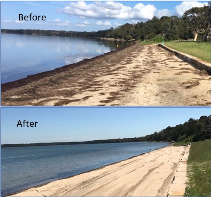 before and after photo showing sand levels higher and cleaner on lake