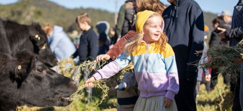Harvest Festival promo image - young girl smiling at open space festival