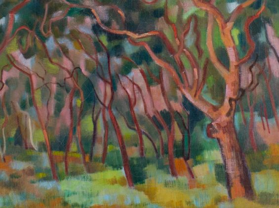 Jean Isherwood, Angophora Forest, (c. 1975)