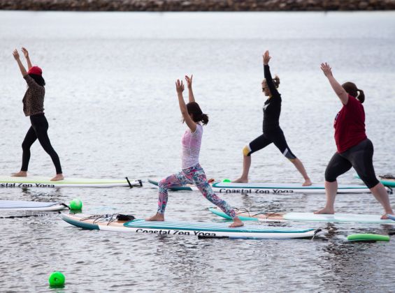 People standing on paddle boards on the water