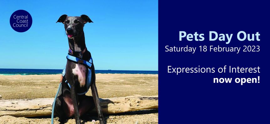 Pets Day Out EOI 