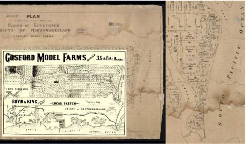 old maps and subdivision plans of Wamberal 