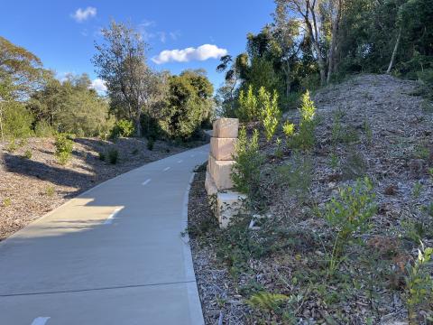 Magenta Shared Pathway