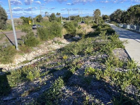 Magenta Shared Pathway
